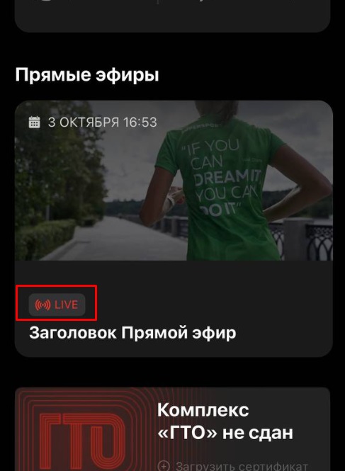 📺 Прямые эфиры