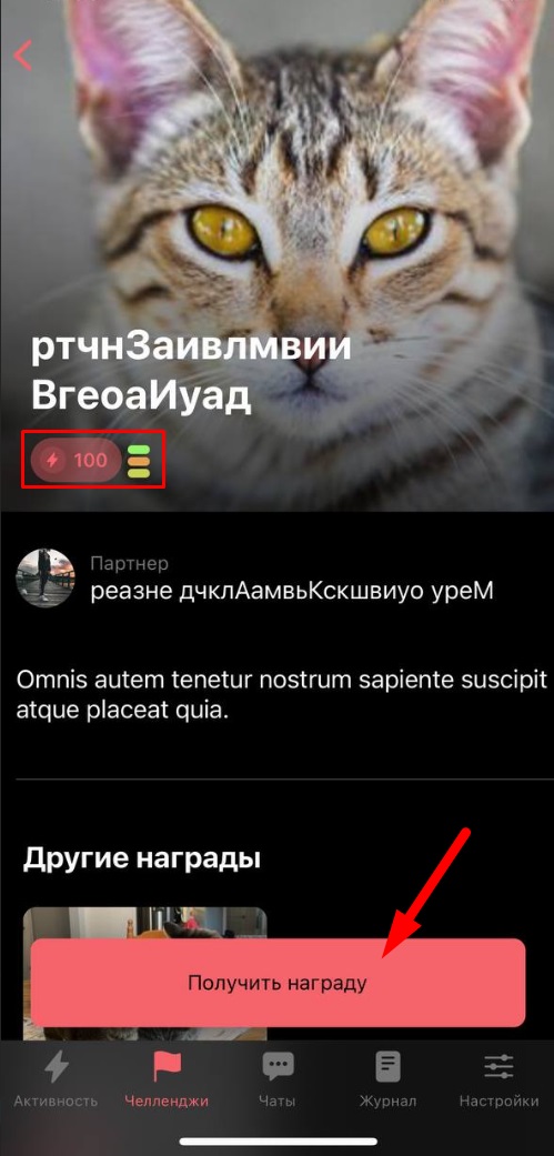 📱 Магазин в приложении