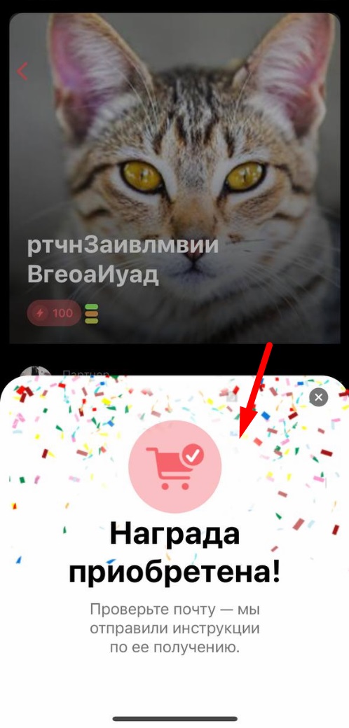 📱 Магазин в приложении