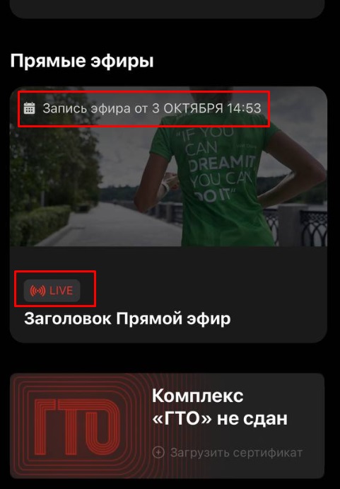 📺 Прямые эфиры