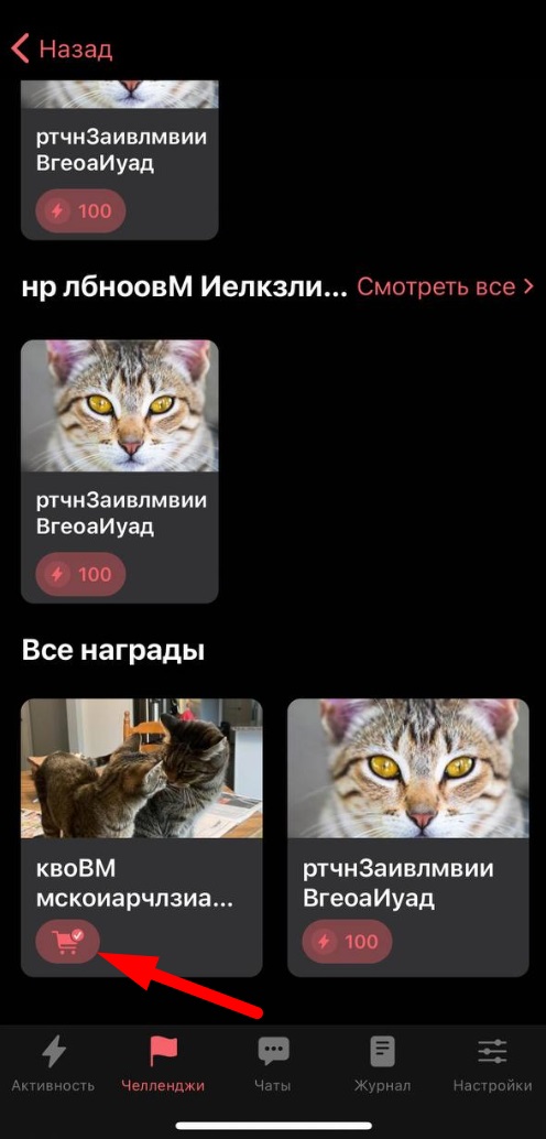 📱 Магазин в приложении